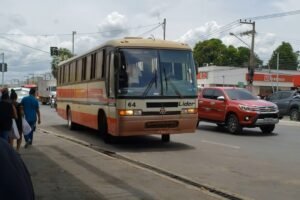 Viagem de ônibus por estrada de terra revela rota pouco conhecida entre Timon e Parnarama