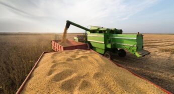 Exportações em alta mantêm preço da soja acima de R$ 130 no Brasil