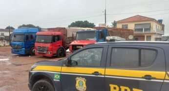 PRF apreende 31 mil tijolos transportados com irregularidades fiscais em Alagoas