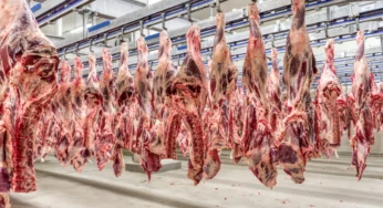 China amplia embargo e suspende frigorífico da JBS que exportava carne bovina