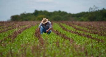 Produtores rurais fecham 2025 com mais dívidas e inadimplência cresce no agro