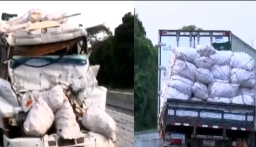 Reboque de ré em baixa velocidade às 2h termina em colisão fatal na BR-101