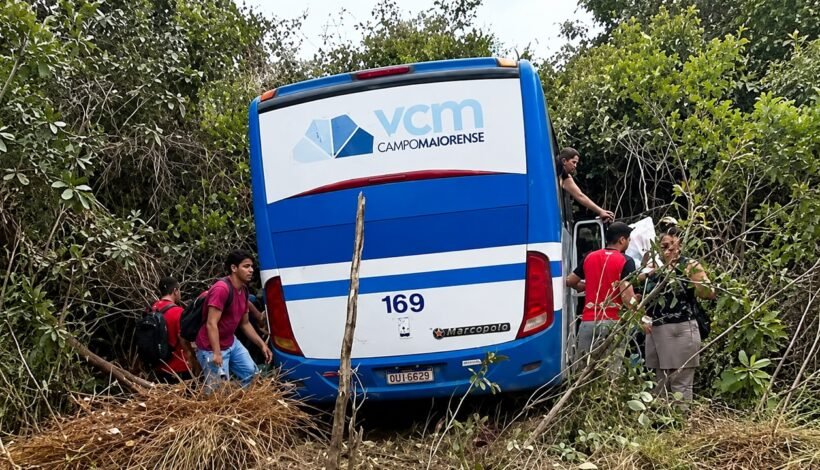 Ônibus sai da pista na BR-343 após motorista tentar desviar de carro perto de Altos