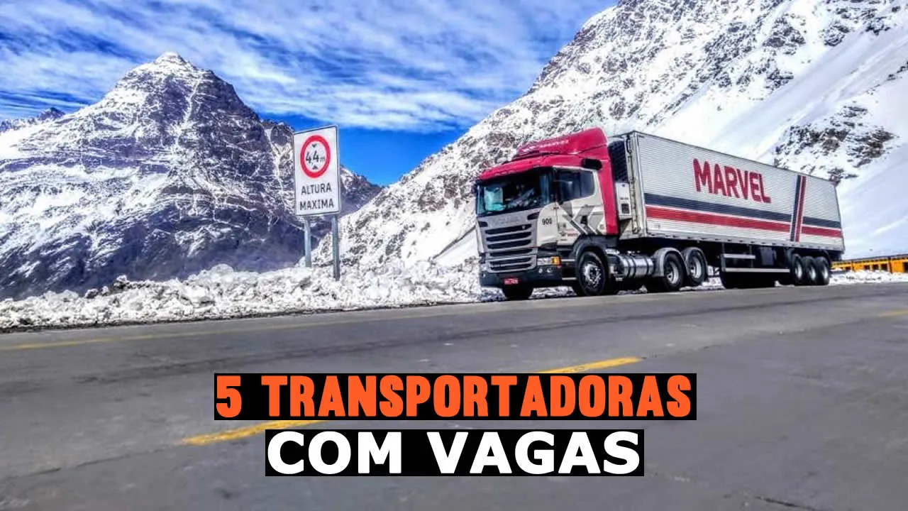 5 Transportadoras com vagas para motorista