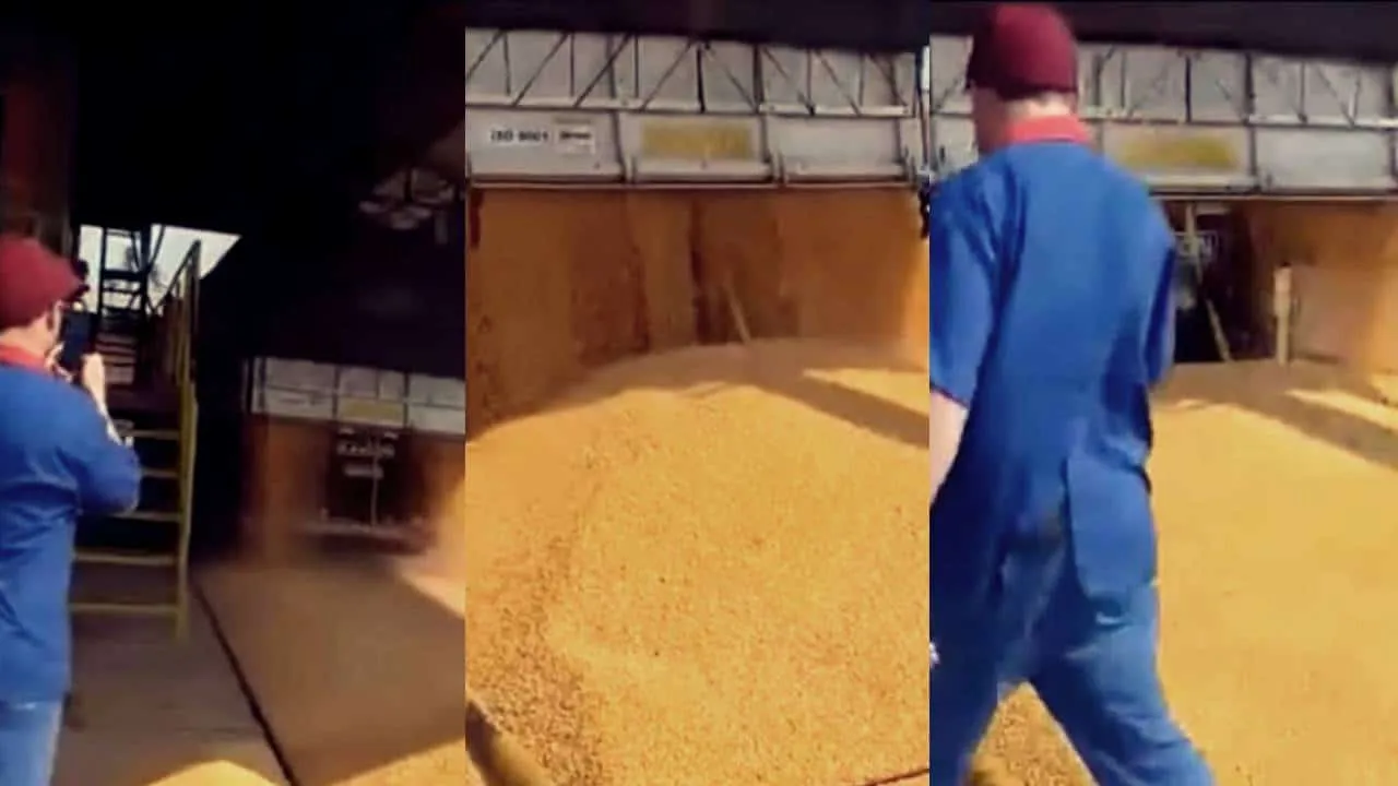 caminhoneiro descarrega no pátio da empresa
