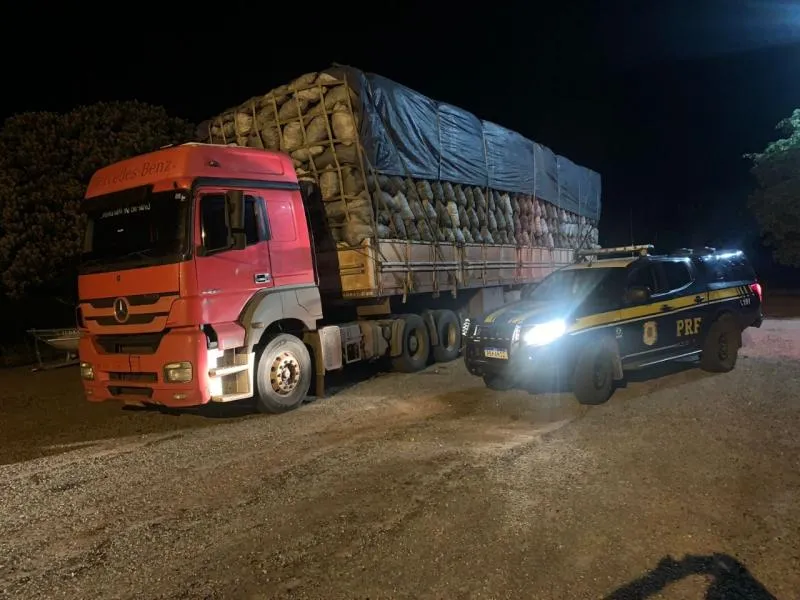 Caminhoneiro é multado em R$ 33 mil reais com carvão ilegal na BR-262