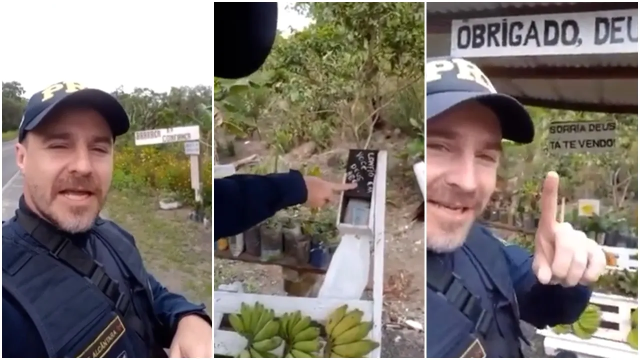 Empresário cria barraca da honestidade para vender frutas em rodovia