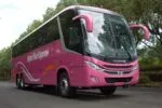 Marcopolo China