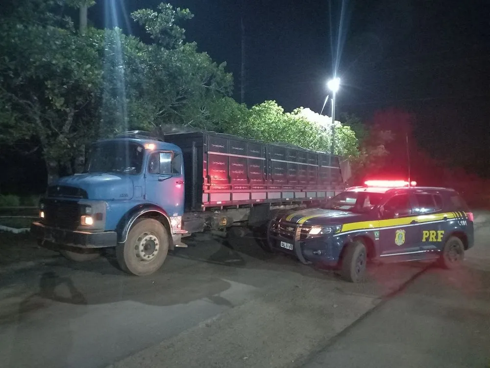 Dois caminhões são apreendidos pela PRF em Tocantins transportando madeira ilegal