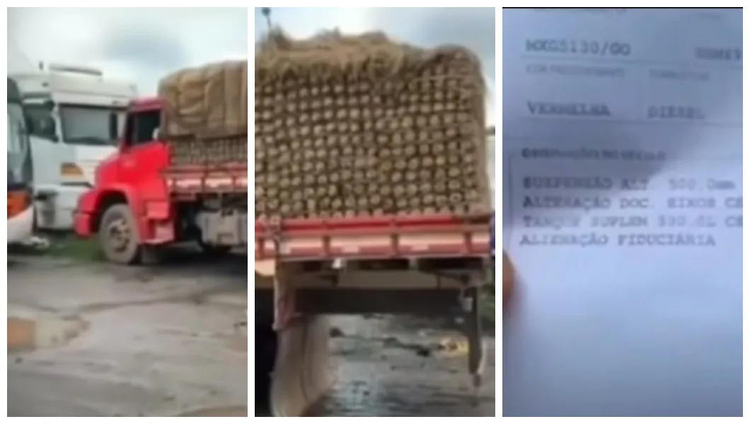 Caminhoneiro com caminhão legalizado perde carga de abacaxi em pátio da PRF