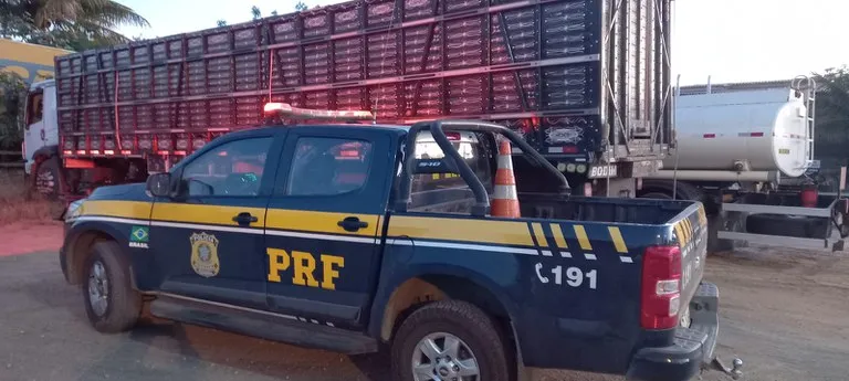 Caminhão boiadeiro é flagrado transportando animais em condições insalubres