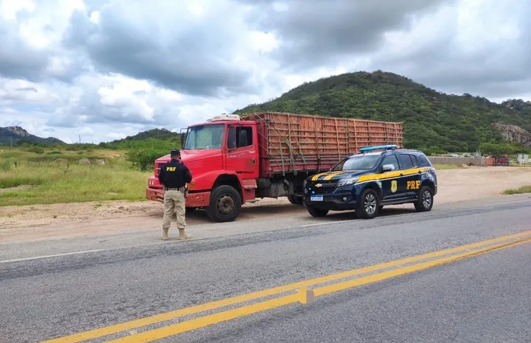 Caminhoneiro tem carga de 9 mil tijolos e caminhão apreendido pela PRF
