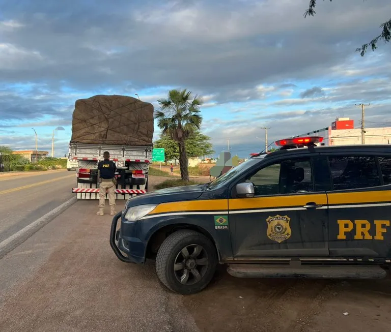 PRF apreende carga de 16 toneladas de gesso sem nota fiscal em Pernambuco