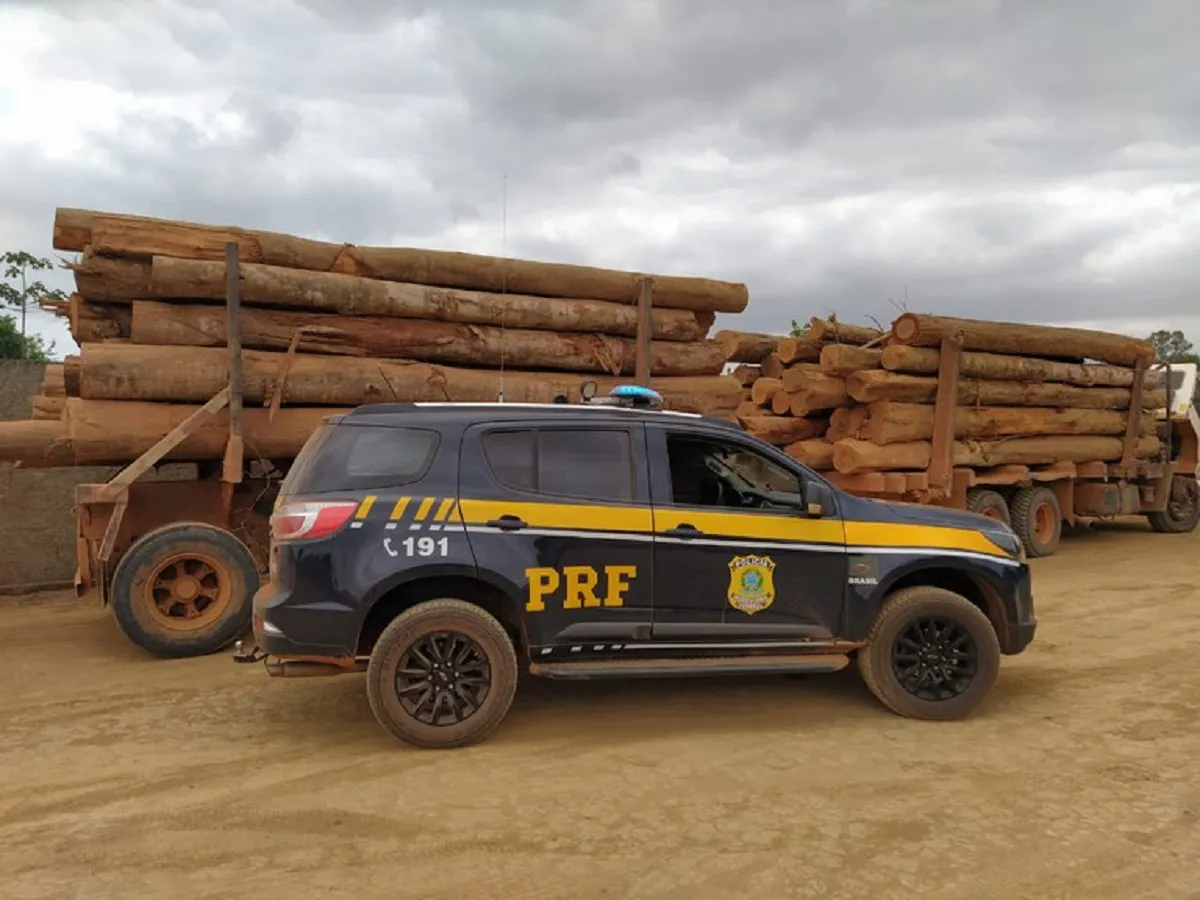 PRF apreende caminhão com 58 toras de madeira ilegal no Pará