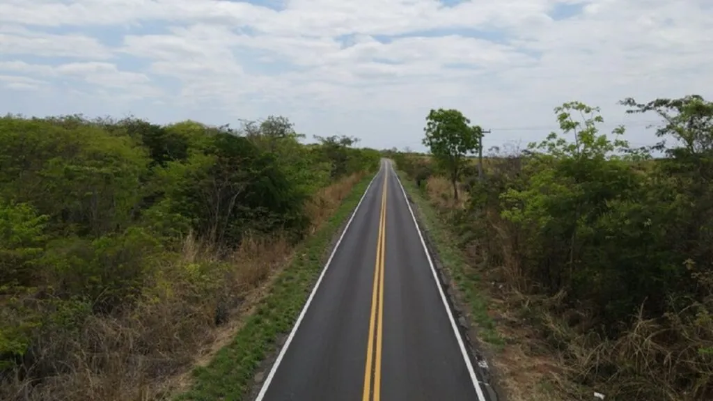 Revitalização de 45 quilômetros da BR-349 será realizado