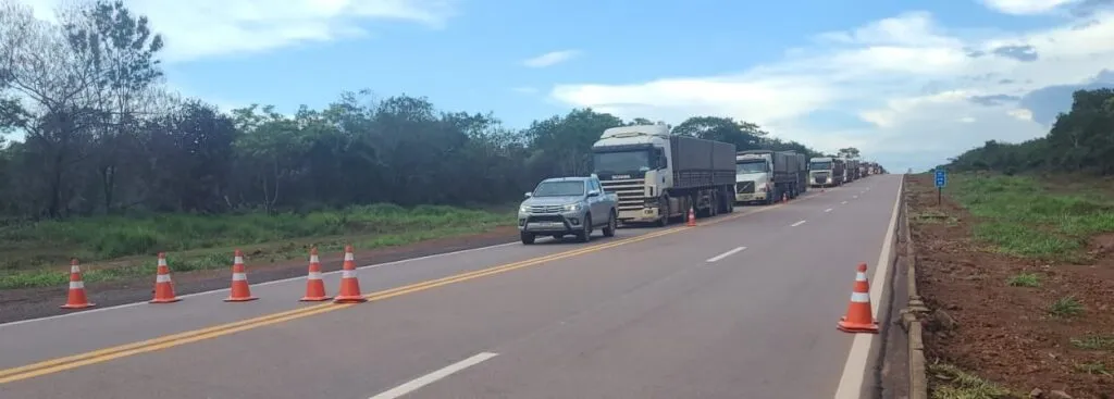 Travessia De Capivaras Guaranta De Norte 2