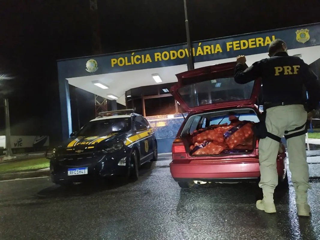 Motorista é detido pela PRF após saquear carga de caminhão acidentado