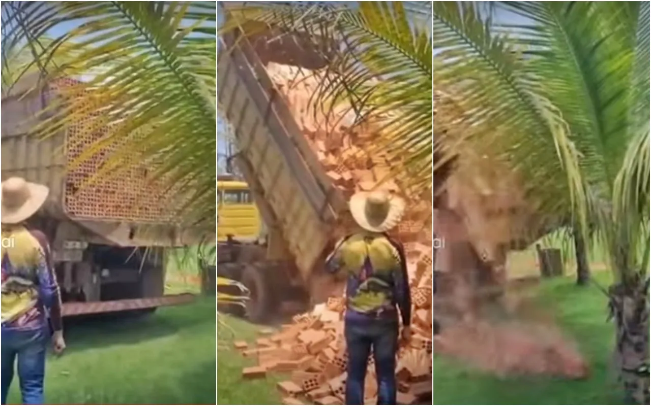 Vídeo:Caminhoneiro realiza descarregamento de tijolo de um jeito diferente