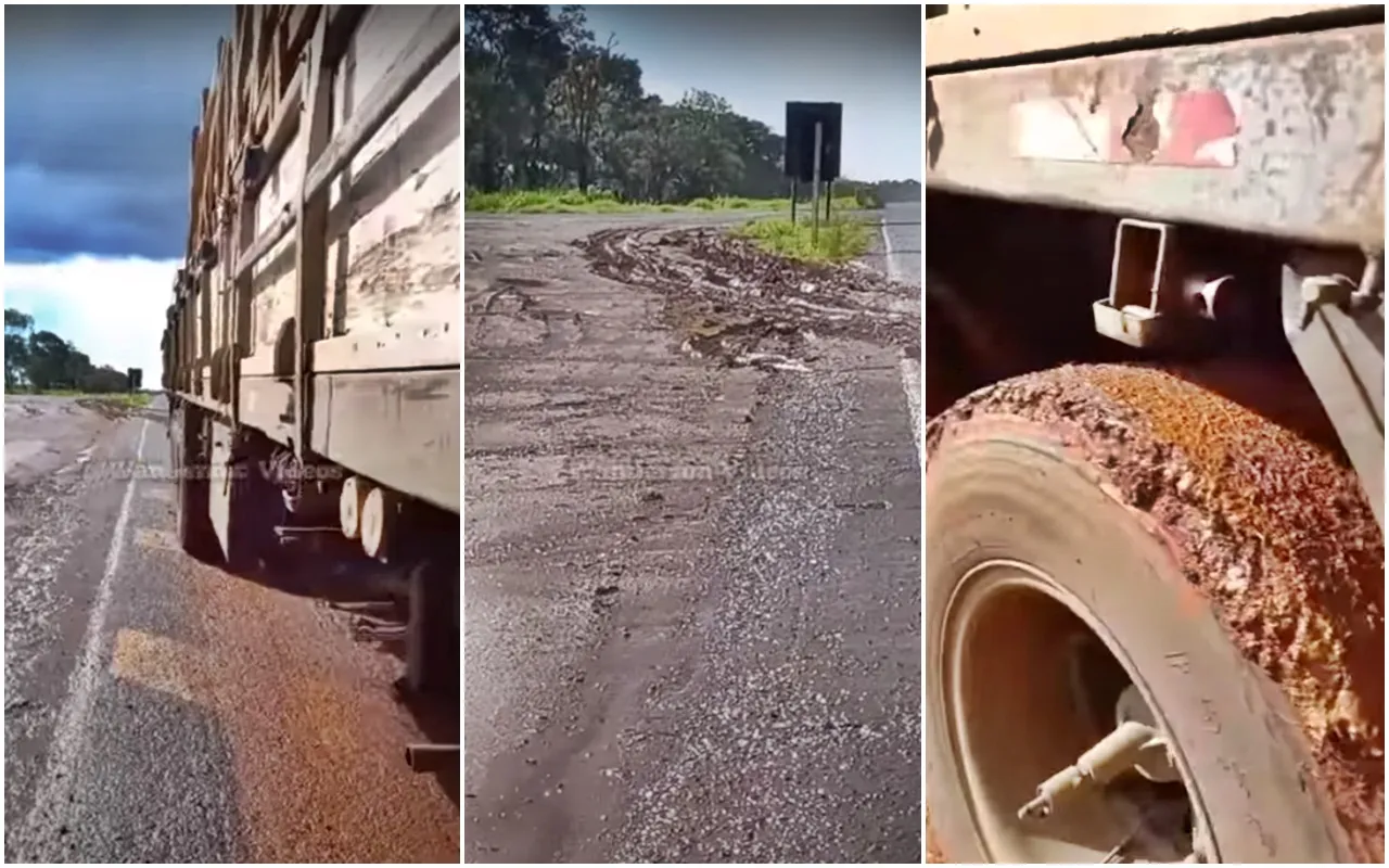 Caminhoneiro faz cagada em BR e grava como tudo aconteceu
