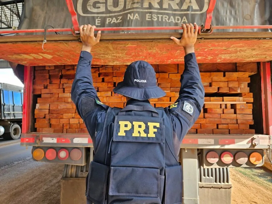 Em Ariquemes/RO, PRF identifica transporte irregular de madeira