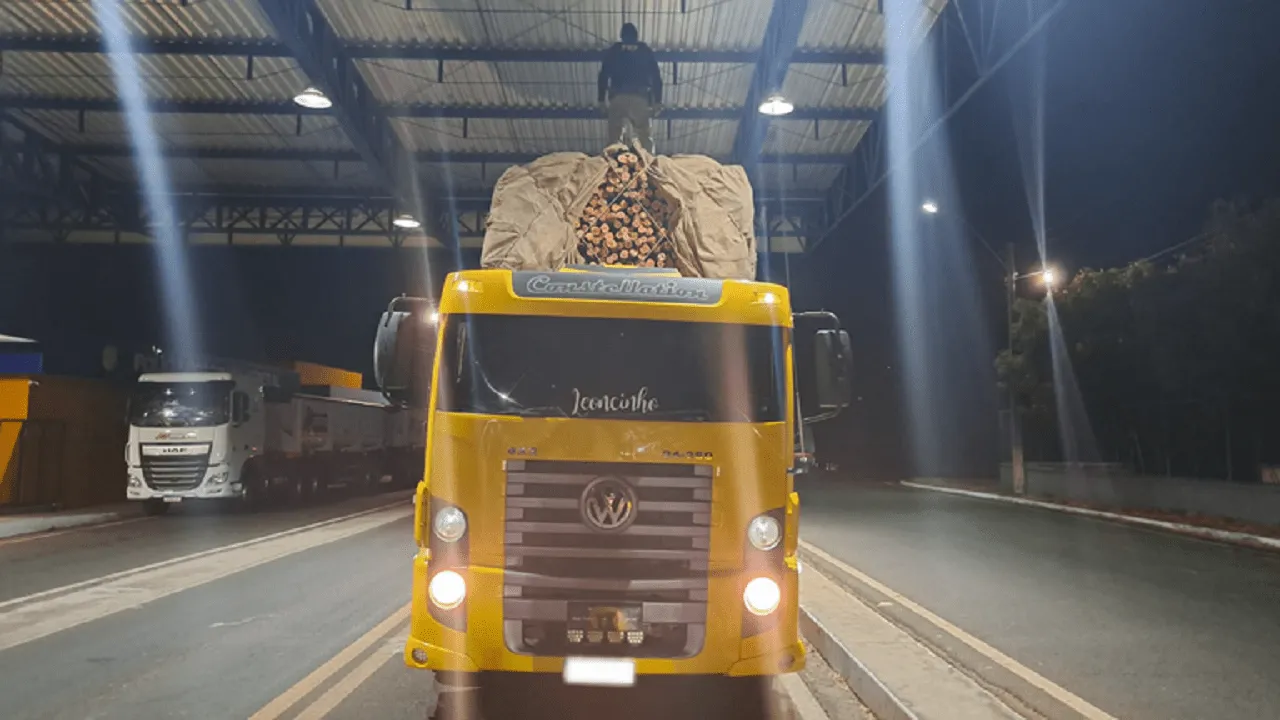 Caminhoneiro é autuado na BR-343 por transporte ilegal de madeira