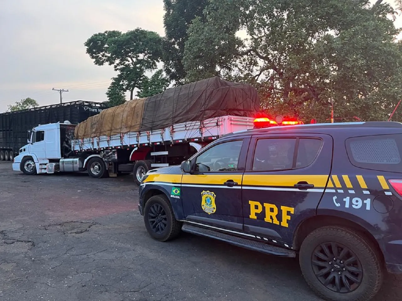 Dupla irregularidade: PRF apreende carreta adulterada e a carga de madeira ilegal