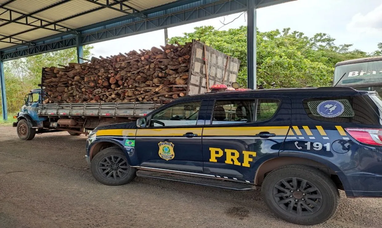 PRF apreende carga de madeira com documentação divergente