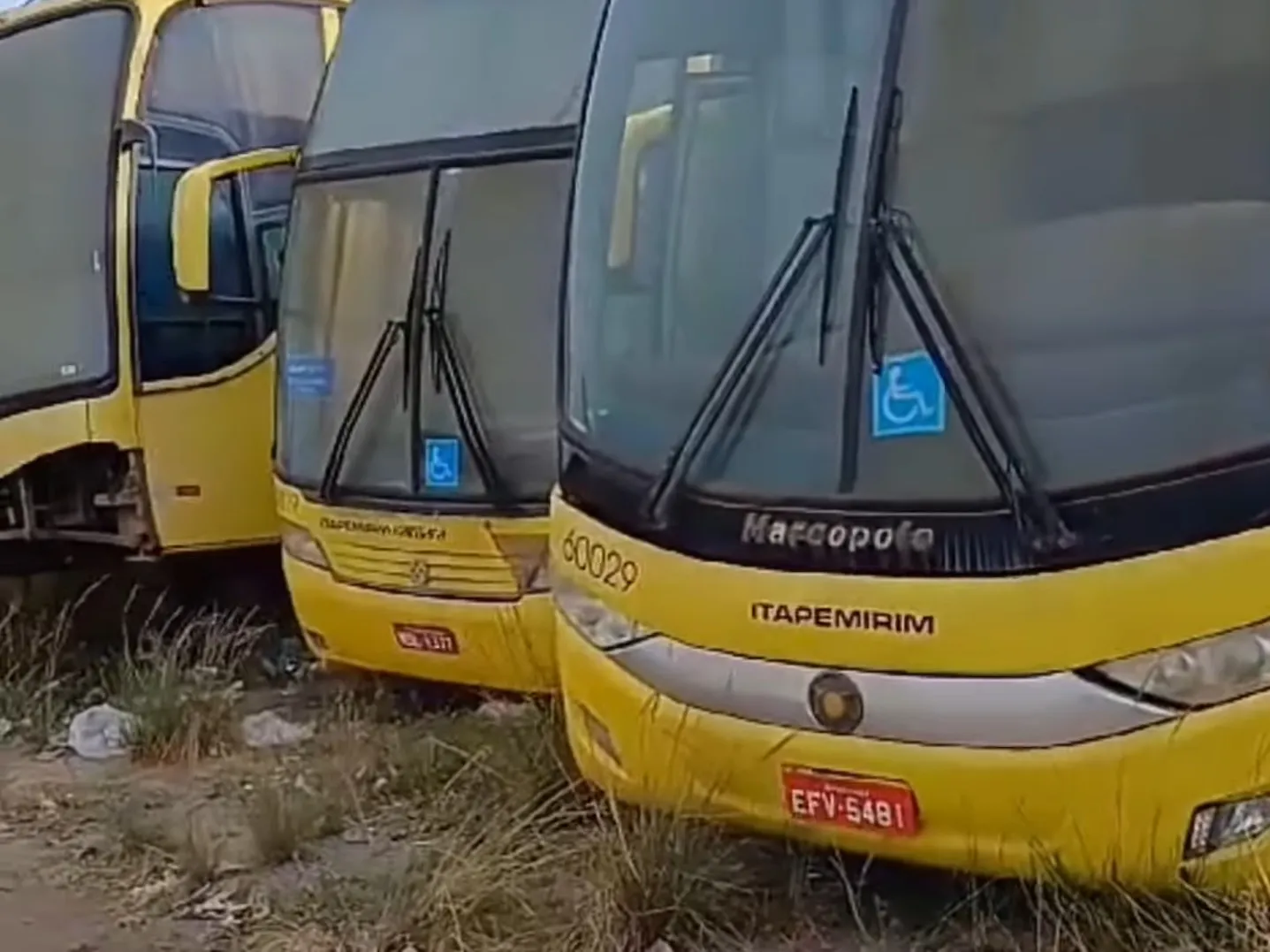 Conheça o cemitério com dezenas de ônibus da Itapemirim