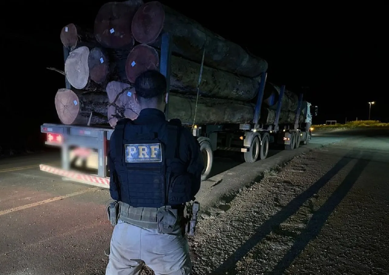 PRF Apreende Arma Municao E Madeira Em Roraima