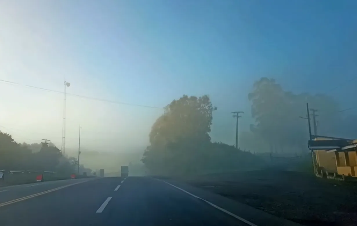 Como dirigir em uma rodovia com neblina?