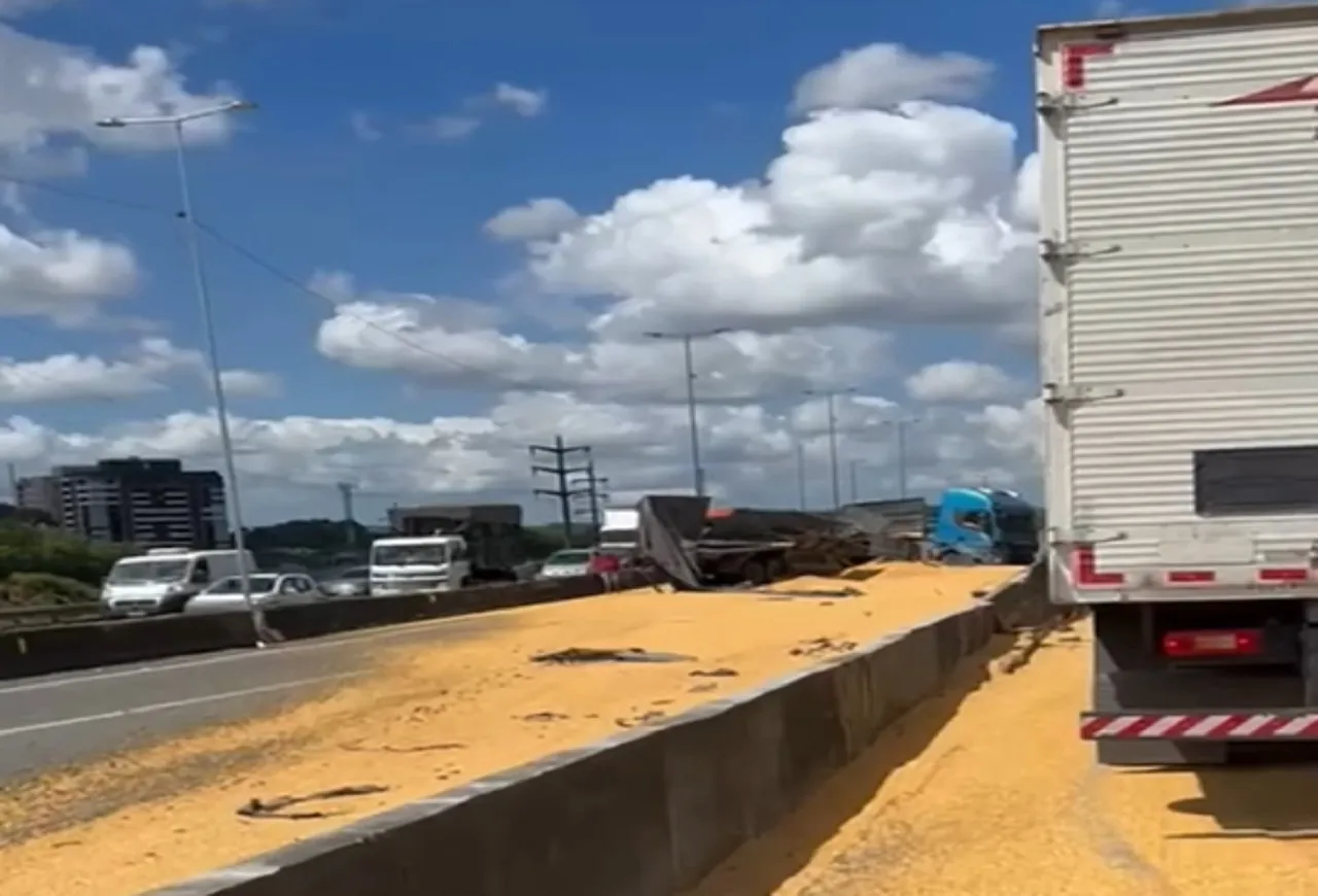 Justiça manda transportadoras pagar prejuízo após carga ser perdida na BR-364