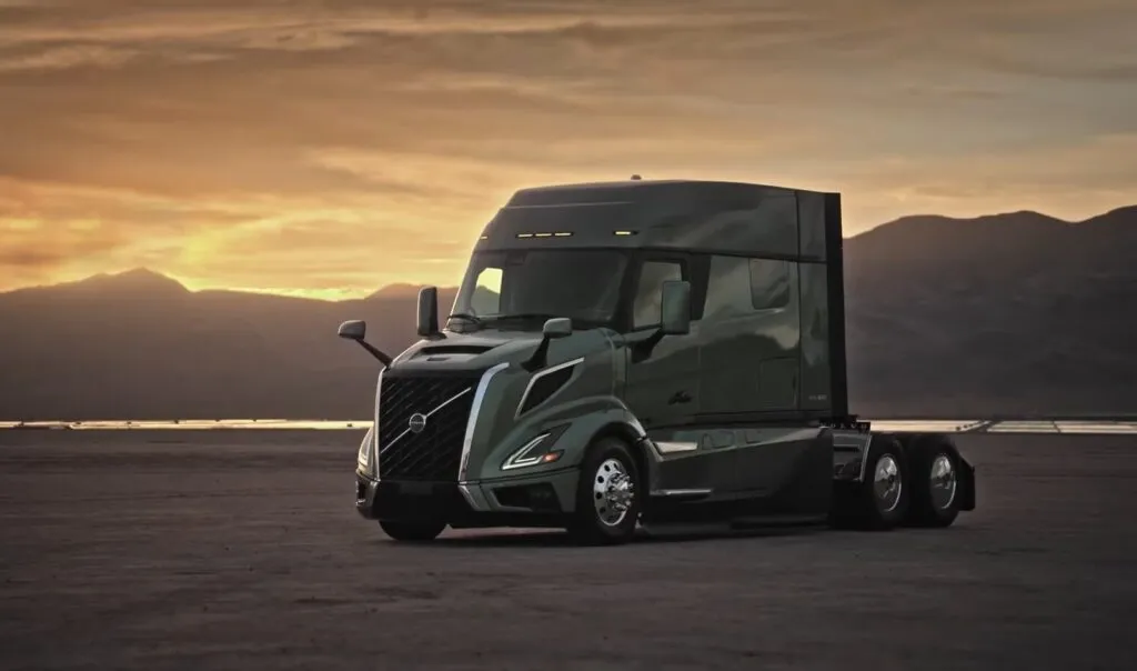 Novo bicudo da volvo é flagrado no Brasil