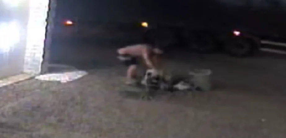 Caminhoneiro é flagrado furtando palmeira de comércio em Pouso Redondo