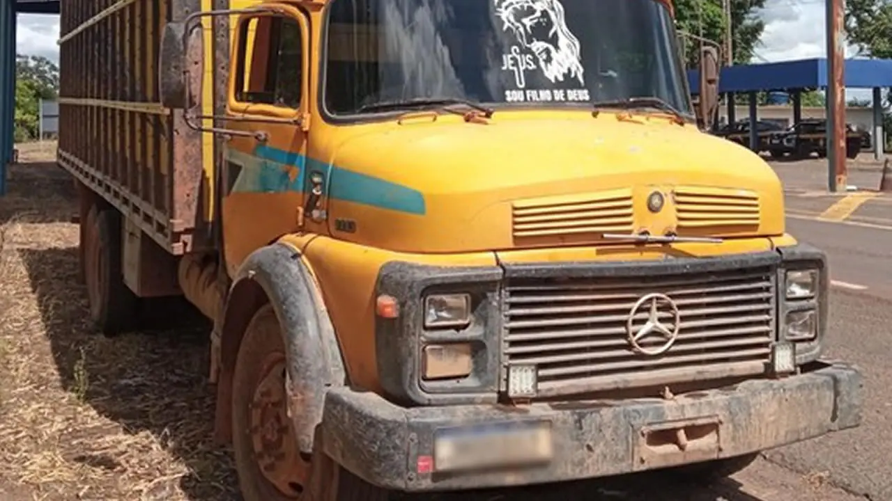 PRF apreende caminhão com 14 cavalos transportados irregularmente em Palmeiras do Tocantins