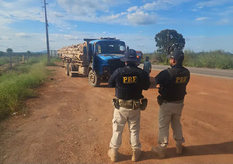 PRF apreende carga ilegal de madeira na BR-155, em Redenção (PA)