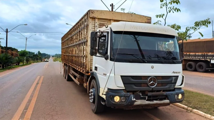 PRF Flagrou Dois Caminhões Transportando Gado de Forma Irregular na BR-222 no Maranhão