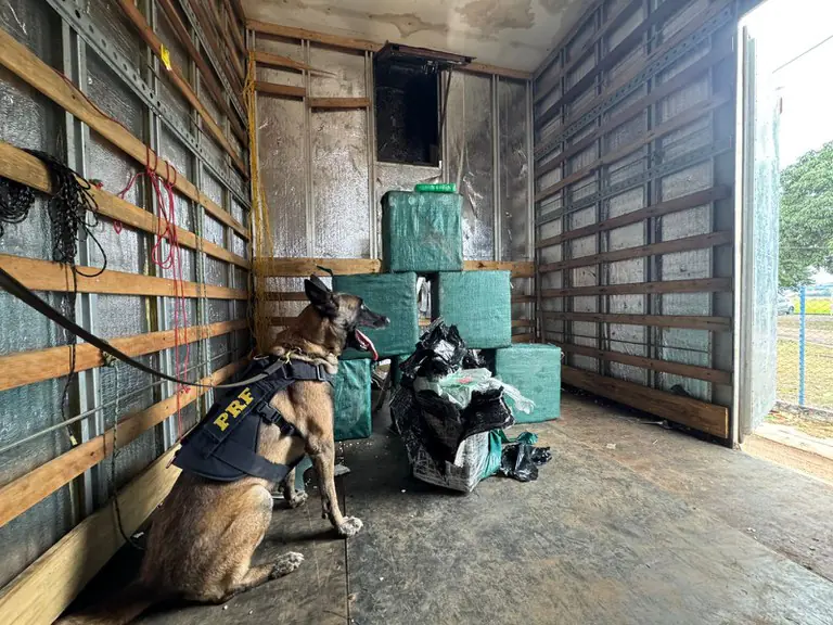 PRF apreende caminhão com uma carga suspeita em fundo falso.