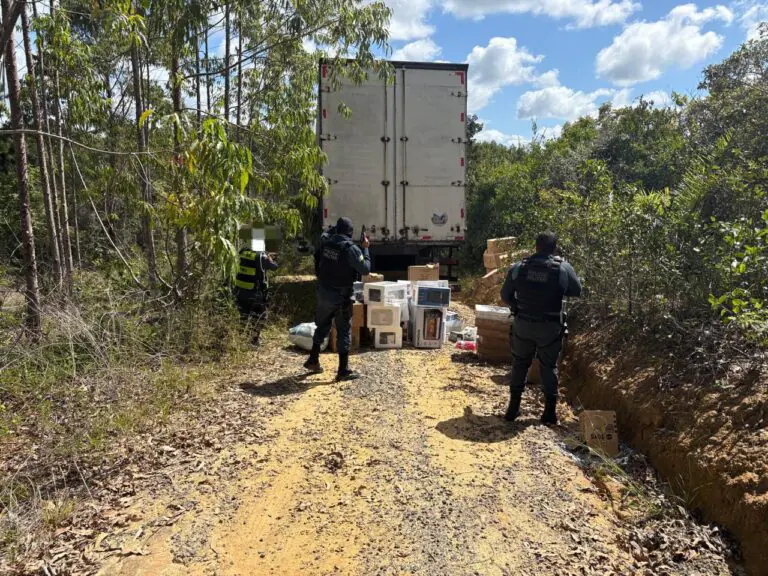 Caminhoneiro é feito refém durante assalto na BR-101, na Bahia