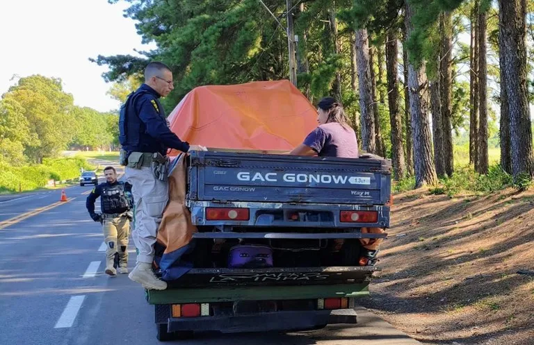 PRF flagra transporte irregular de estrangeiros em caminhão no RS