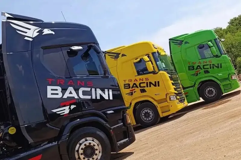 Transbacini