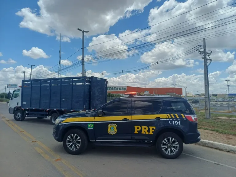 PRF faz operação urgente após risco grave com animais soltos em rodovia