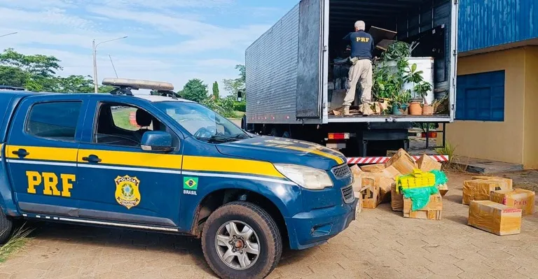 PRF apreende 1,5 tonelada de maconha escondida em caminhão na BR-267 em MS