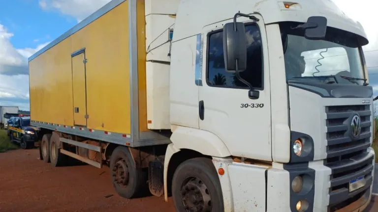 Caminhão é pego com “diretão” e motorista pode responder por crime ambiental