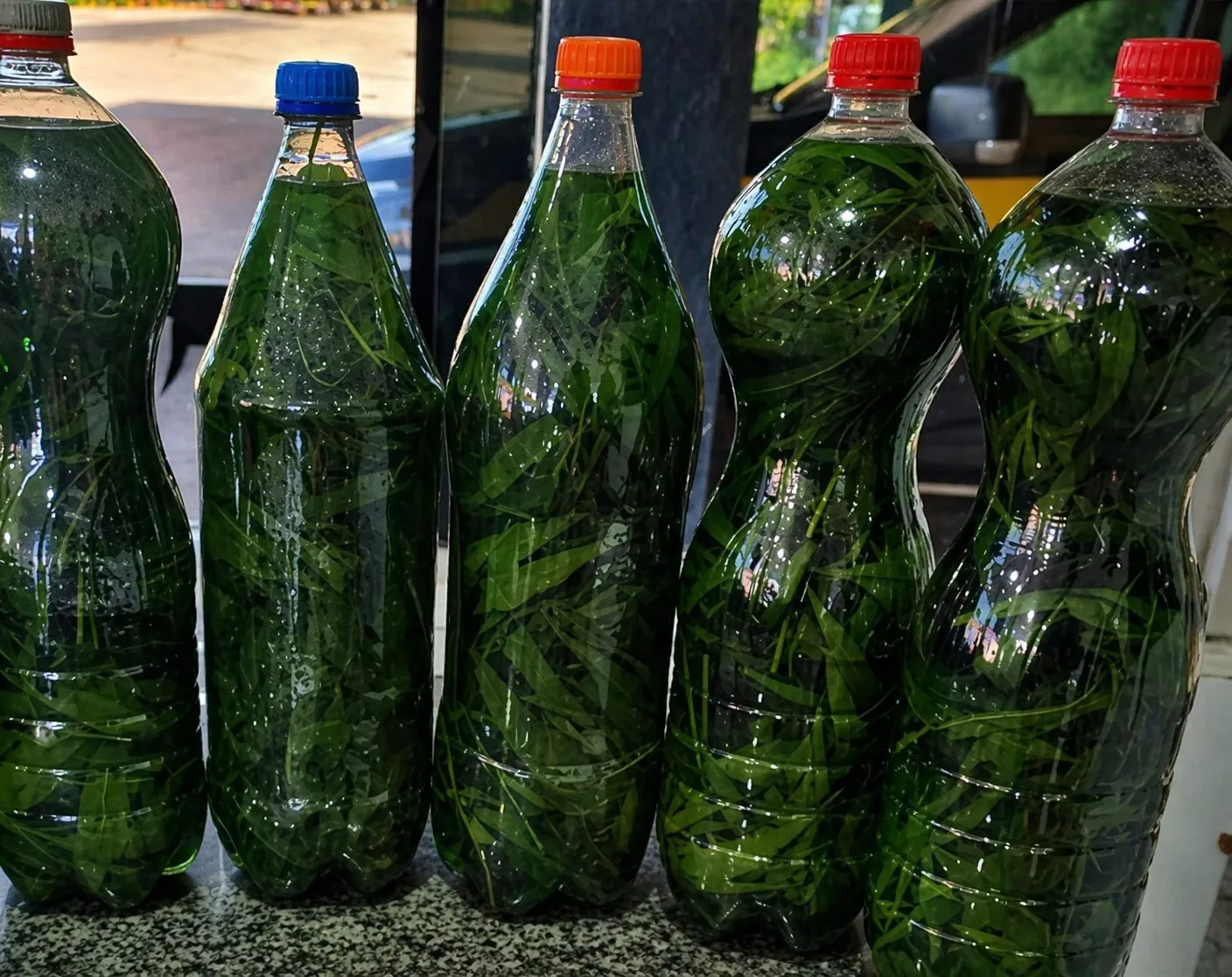Caminhoneiro é preso com garrafas de “cachaça com maconha”