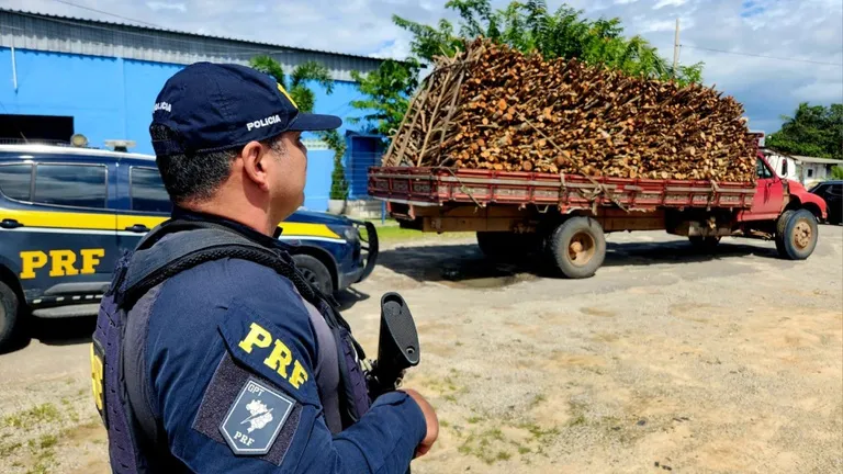PRF flagra caminhão com madeira ilegal e motorista sem CNH na BR-116