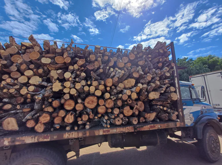 PRF apreende caminhão com 35 m³ de madeira nativa sem documentação na BR-226