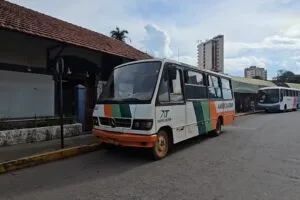 Micro-ônibus Marcopolo Senior 1983 ainda roda em linha rural de Minas