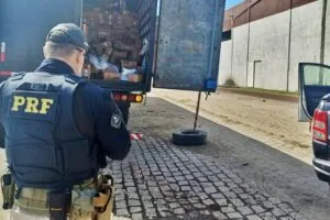 PRF-CARGA-ROUBADO