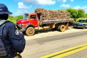 PRF prende três pessoas por transporte irregular de madeira nativa no Ceará